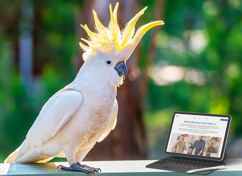 Yellow crested cockatoo sitting with an iPad with WebDesignToo content on it